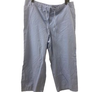 New York & Company Pale Blue Capri Pants - Size 16
